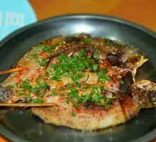 Crucian Carp