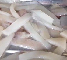 Squid