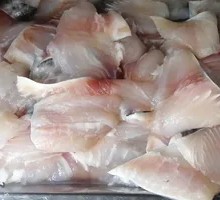 Basa Fish