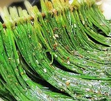 Large Leek Stir-Fry