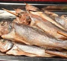 Yellow Croaker