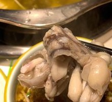 Delicious Frog Legs