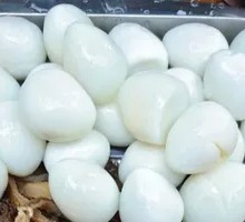 Quail Egg