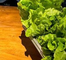 Lettuce