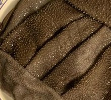7-Second Fresh Tripe