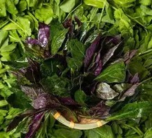 Blood-Clot Wild Vegetable