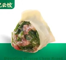 Leek and Pork Dumplings