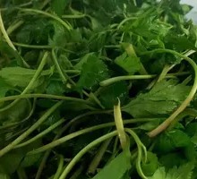 Fresh Wild Vegetables