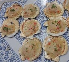 Scallop
