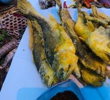 Yellow Croaker