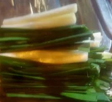 Leek
