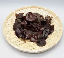 Wood Ear Mushroom