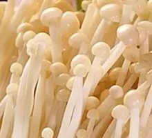 Enoki Mushroom