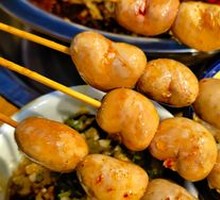Rabbit Kidney