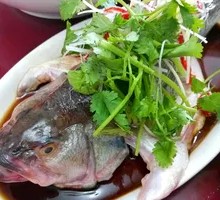 Steamed Sea Bass