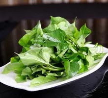 Sweet Potato Vine Tips