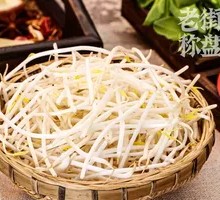 Mung Bean Sprouts