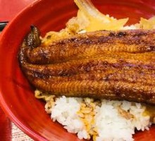 Hot Spring Egg Beef Eel Donburi