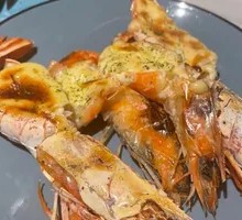 Argentine Shrimp