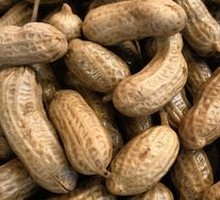 Braised Peanuts