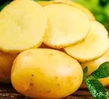Colorful Potato Slices