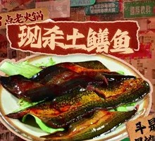 Freshly Killed Mud Eel