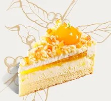 Big Tangerine Cheese Cake with Whole Tangerine Pieces