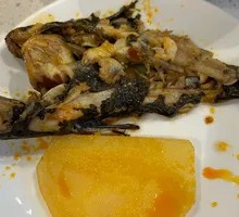 Yellow Catfish Unlimited