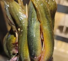 Fresh Loach