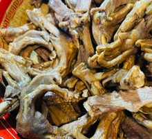 Duck Feet and Wings