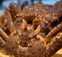 King Crab