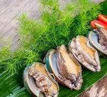 Abalone
