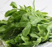 Pea Shoots