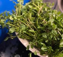 Watercress