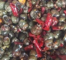 Spicy Finger-Size Snails