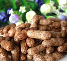 Boiled Peanuts