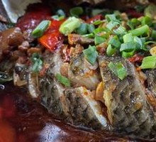 Crucian Carp