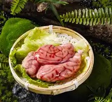Brain tissue