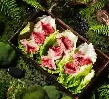 郡花