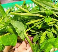 Pea Shoots
