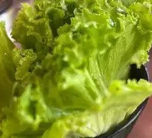 Lettuce