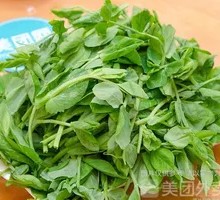 Pea Shoots