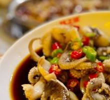 Octopus