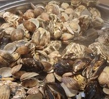 Oyster