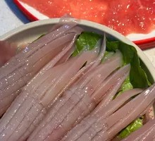 Rocket Squid