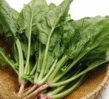 Spinach