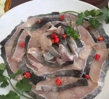 Qian Fish