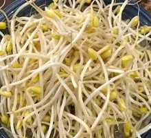 Bean sprouts