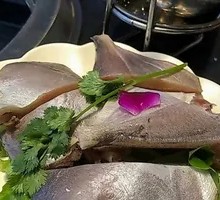 Spanish Mackerel