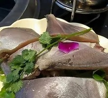 Spanish Mackerel